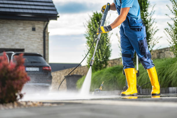 Animal Enclosure Cleaning in St Matthews, KY